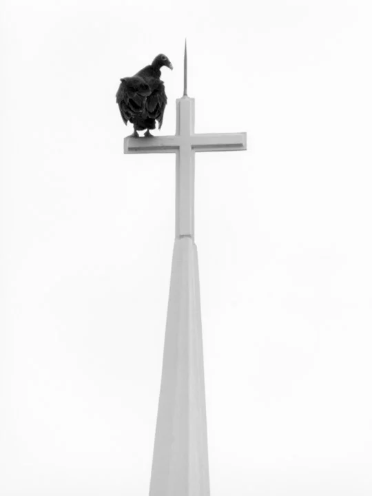 godbless-5.jpg