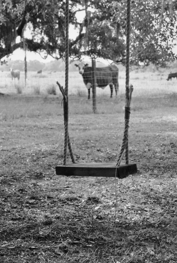 rural-4.jpg