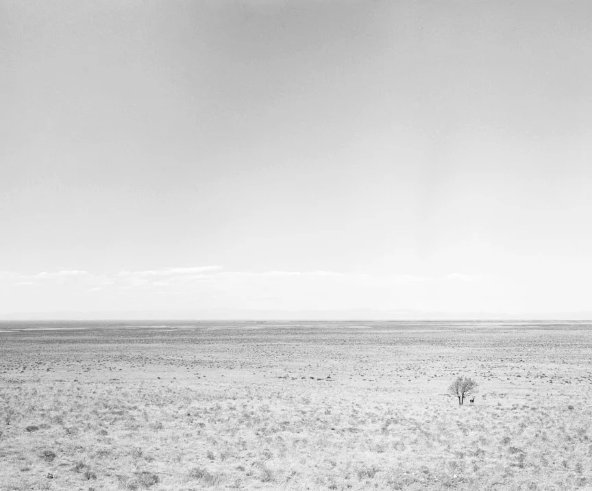 wideopen-7.jpg