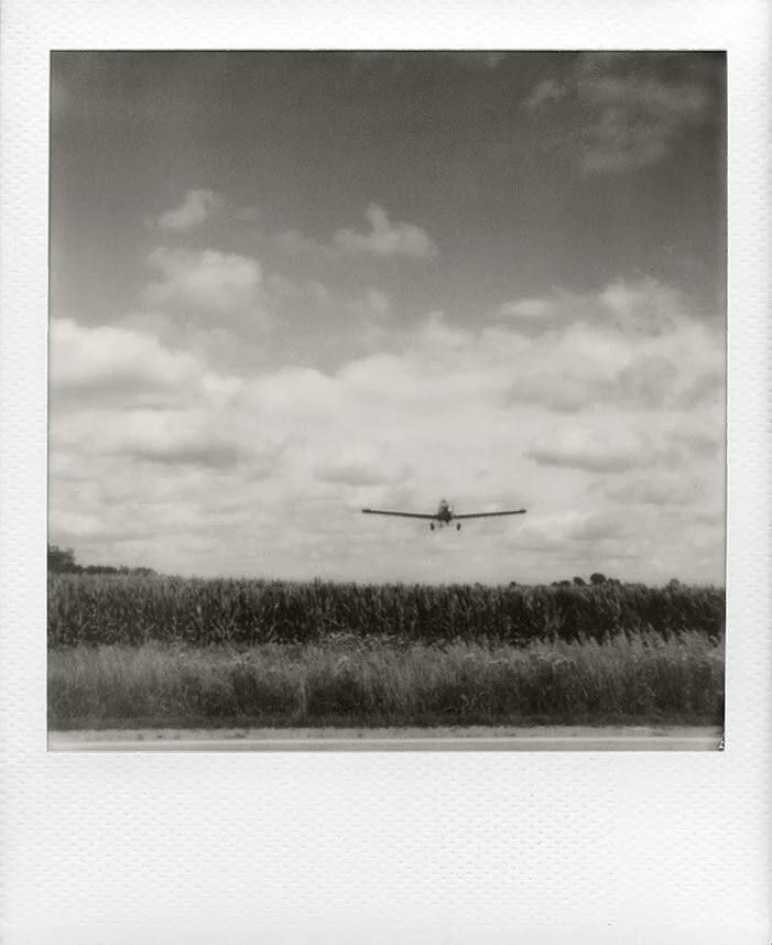 PolaroidCropDuster.jpg