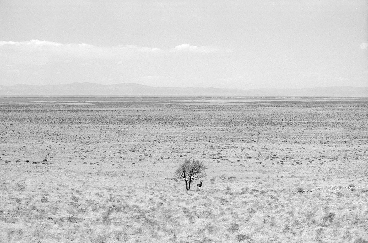 Sangre De Cristo Range.jpg