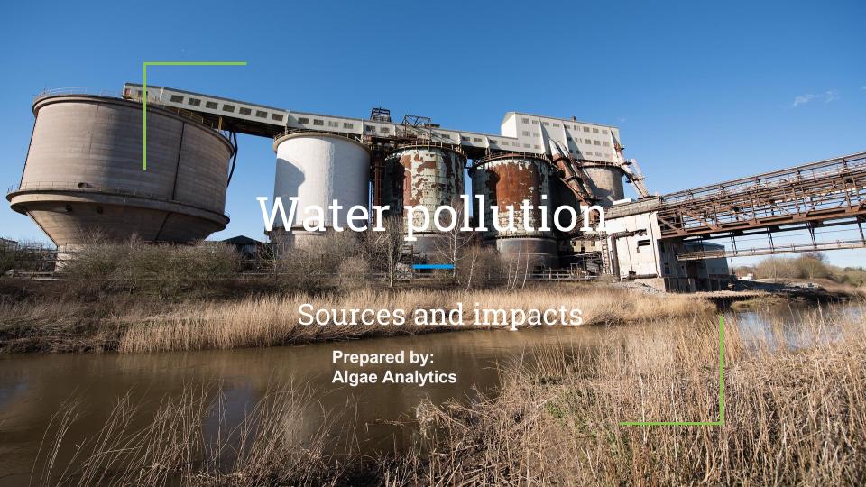 Pollution presentation.jpg