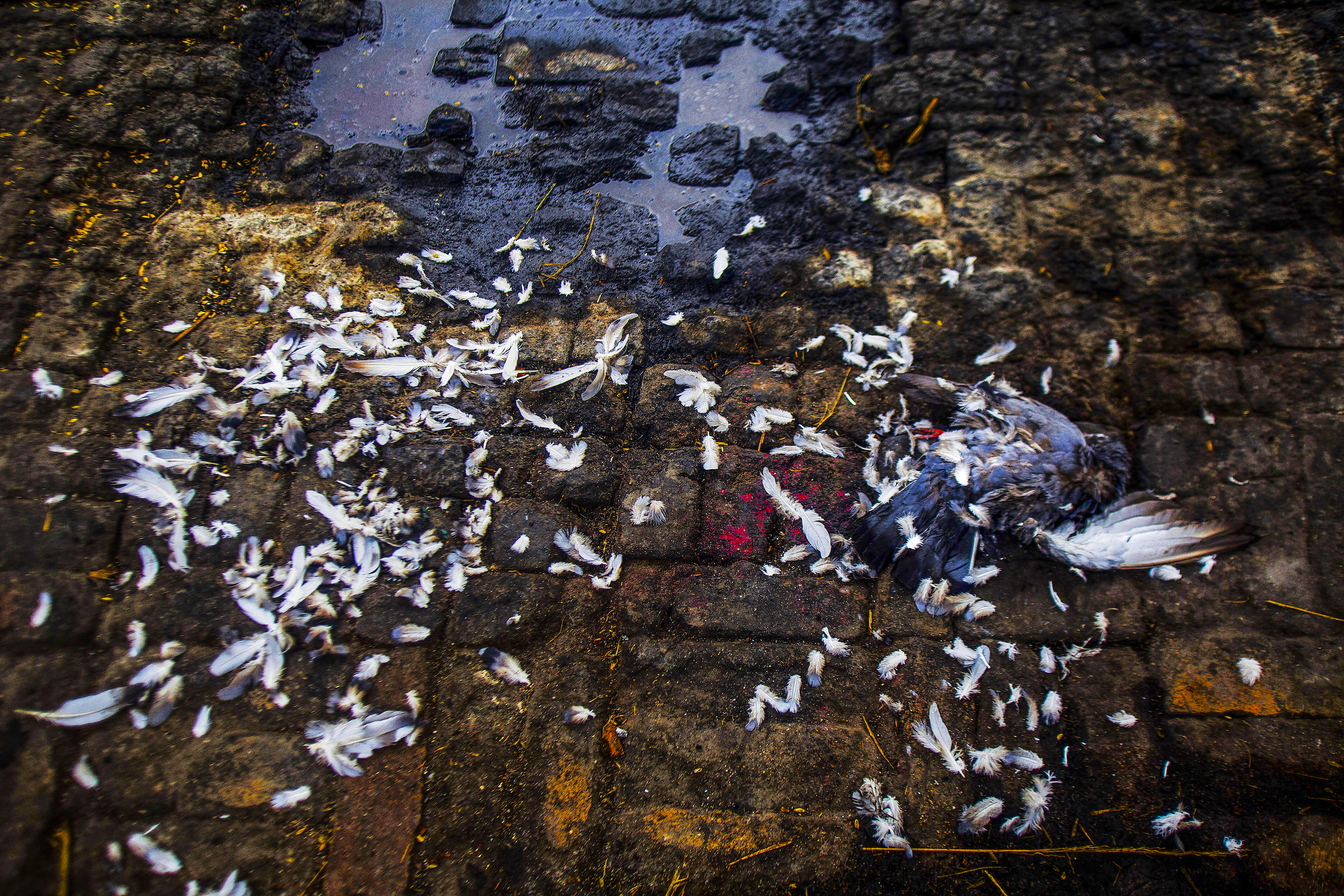 Southern cremation ghats. 