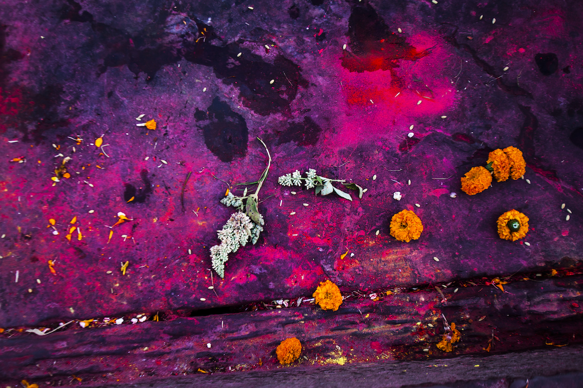 10_Life&DeathInShiva'sPlayground copy.jpg