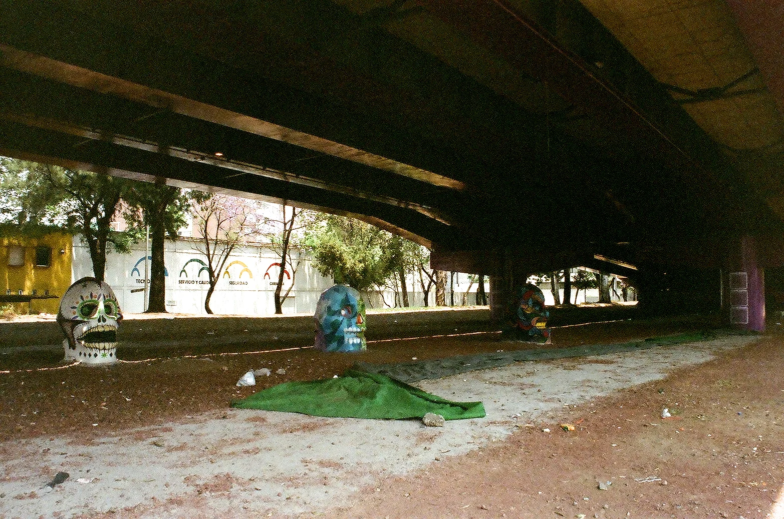 30420020.JPG