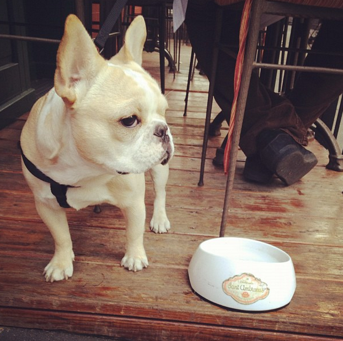 Lou loves to lunch.