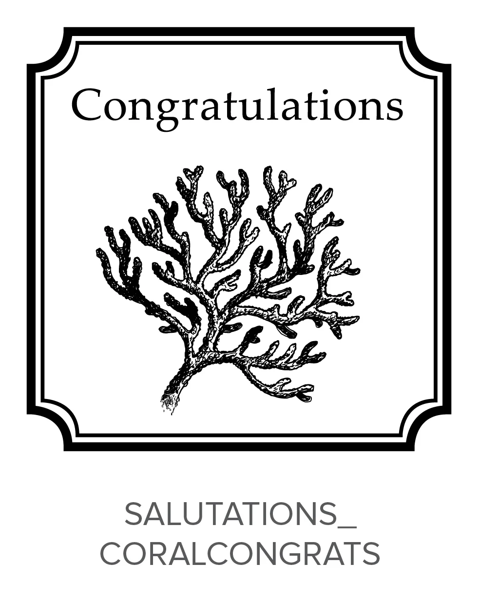 Mix and Match_salutations-60.jpg