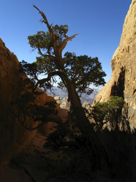 Jebel Rum, Wadi Rum