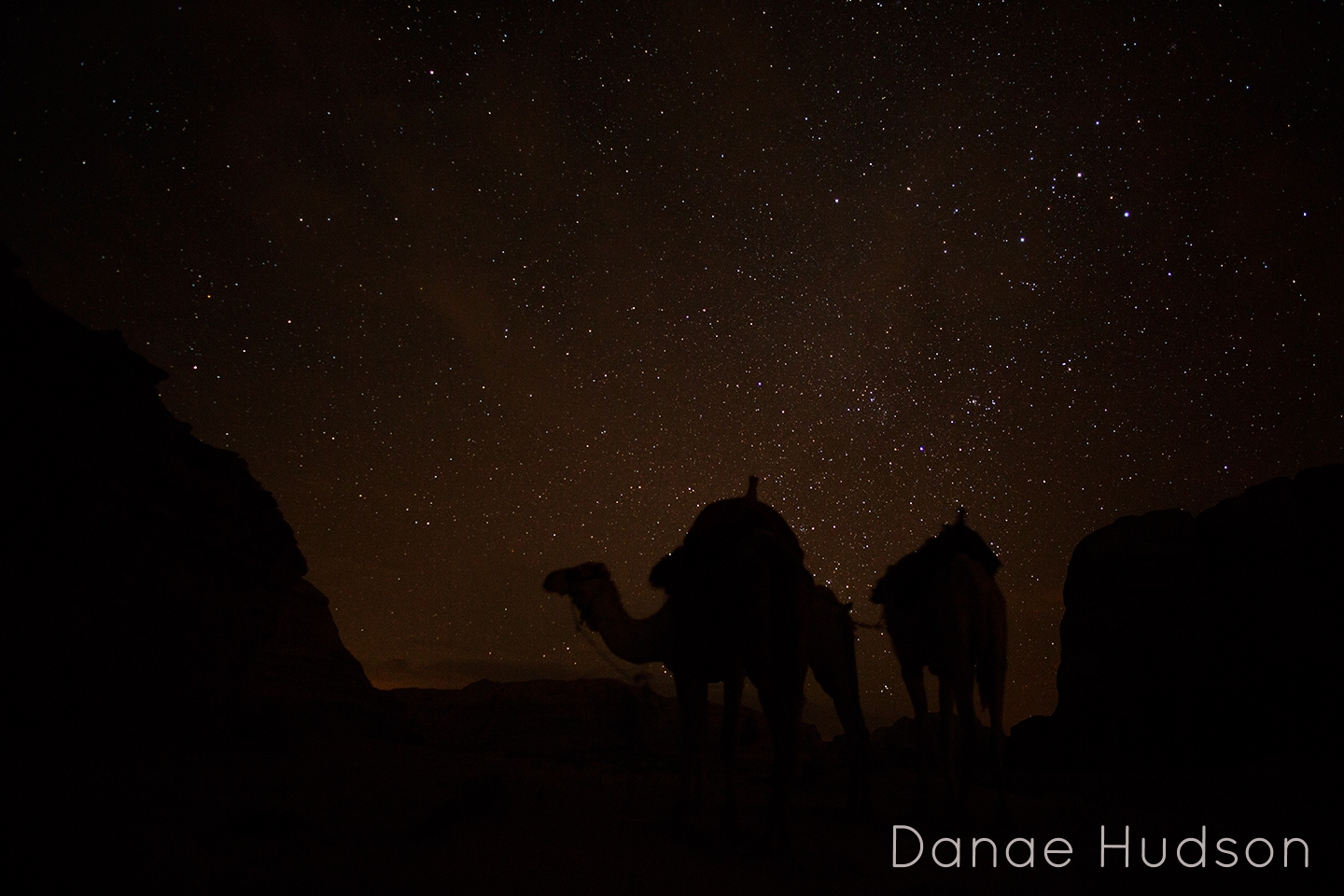 camels-2.jpg