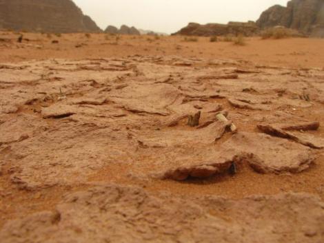 Wadi Rum - Dried "mud"