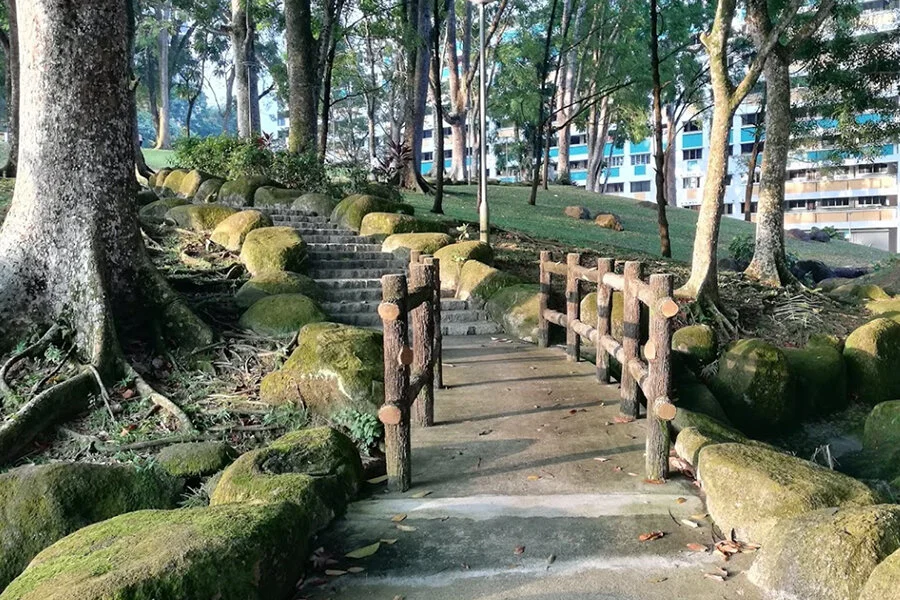 PHOTO: Nancy Khoo, Google Photos