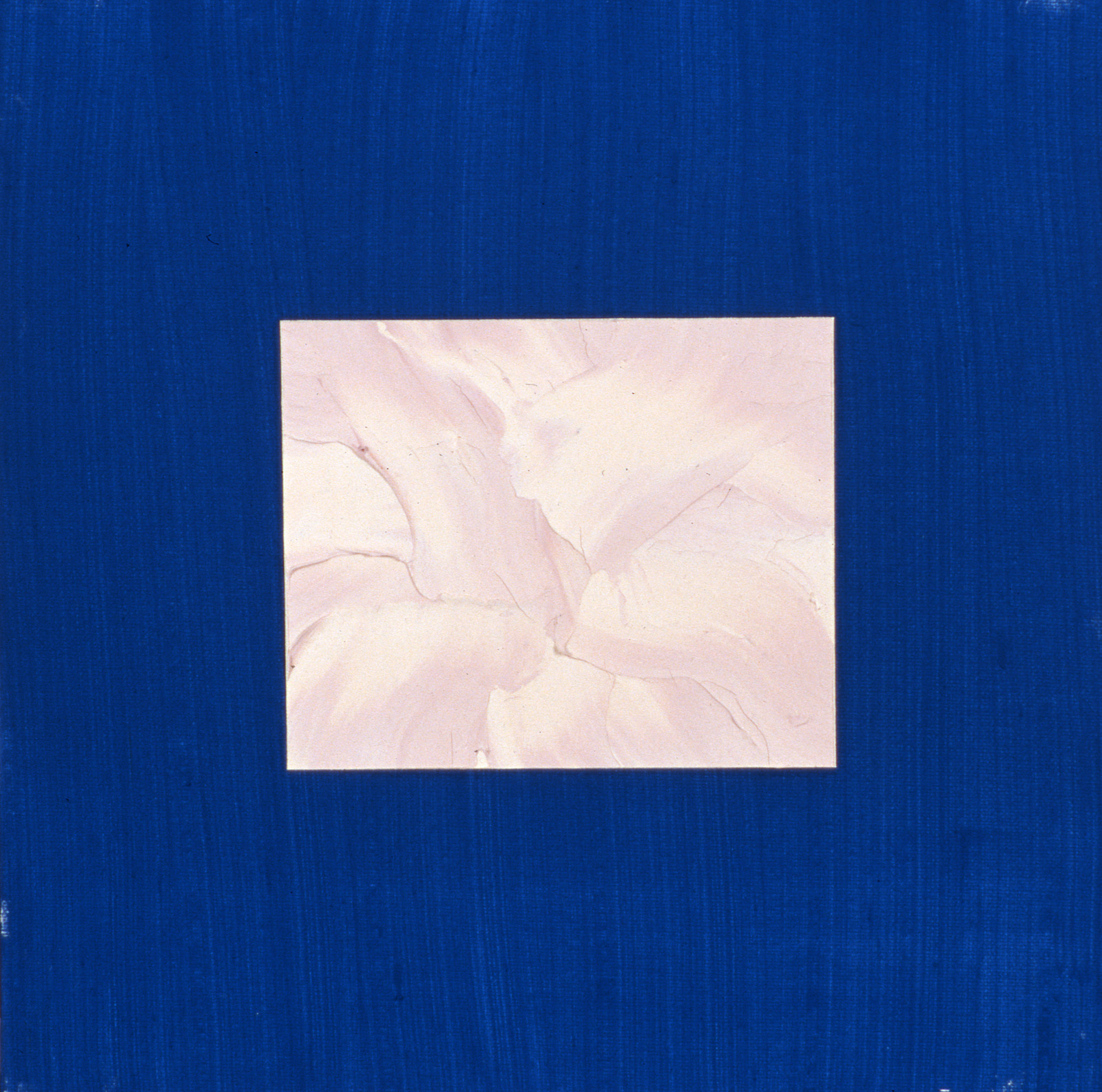 Roses & Cauliflowers - VIII
