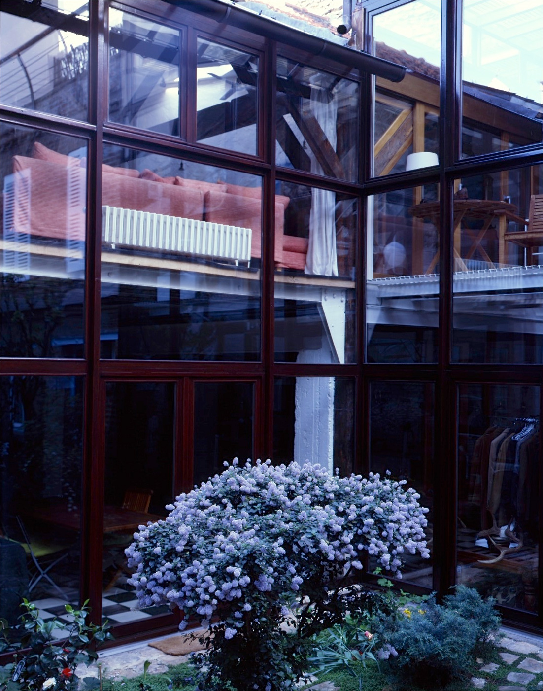 IAHno.2-ObjetDerive-Ceanothus-thyrsiflorus-'-Repens-'-.jpg