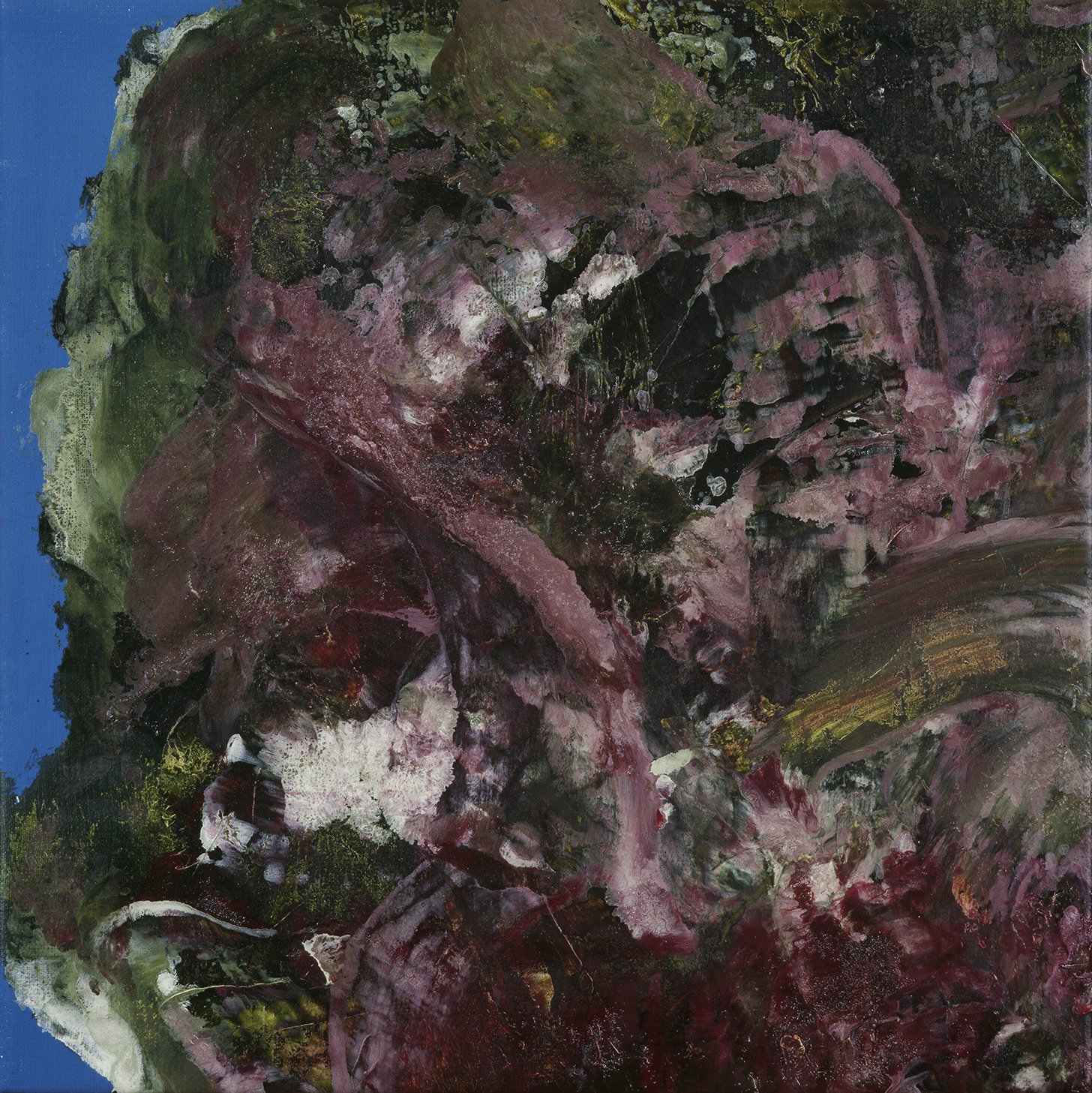 Roses & Cauliflowers - XXIII