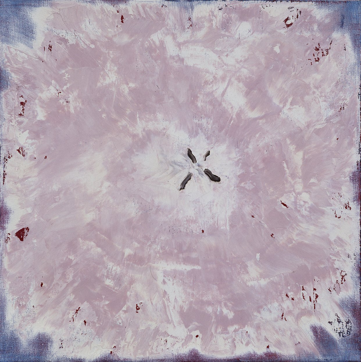 Roses & Cauliflowers - XXVII