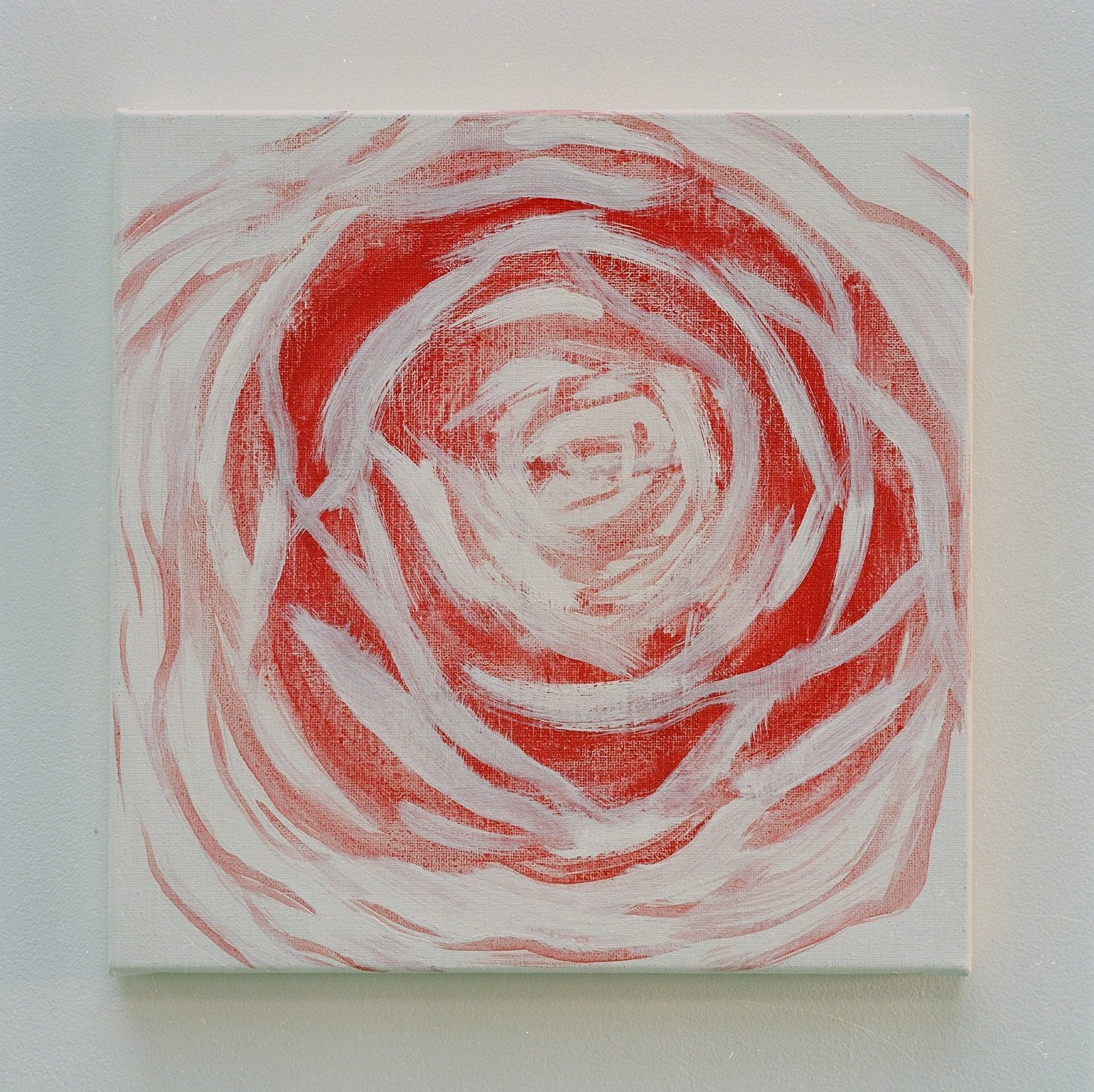 Roses & Cauliflowers - XL