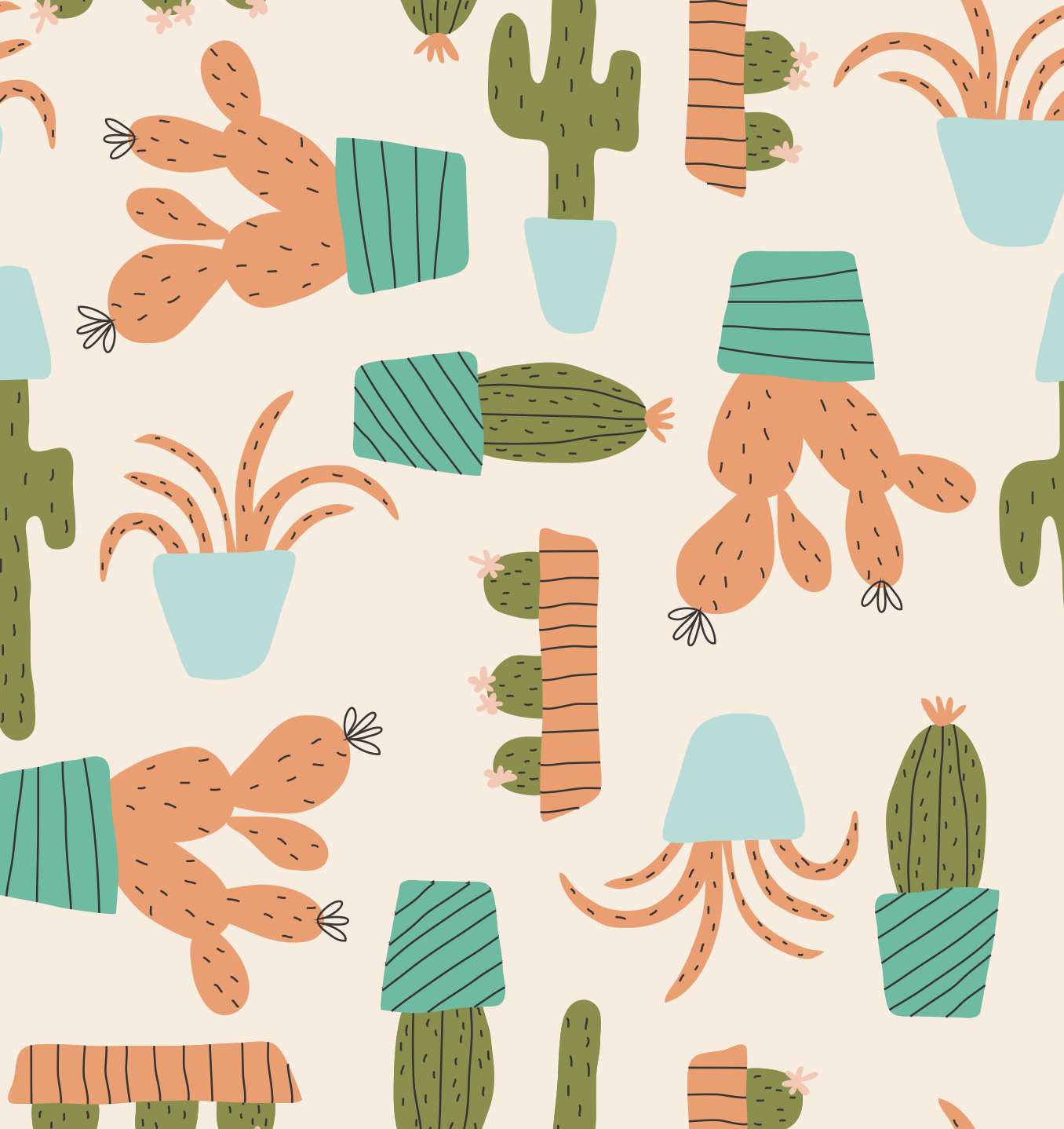 Cute Cactus