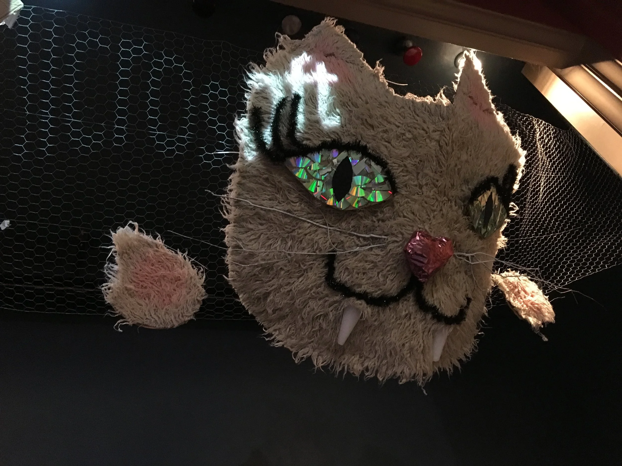 Tina, My P****Y My Right