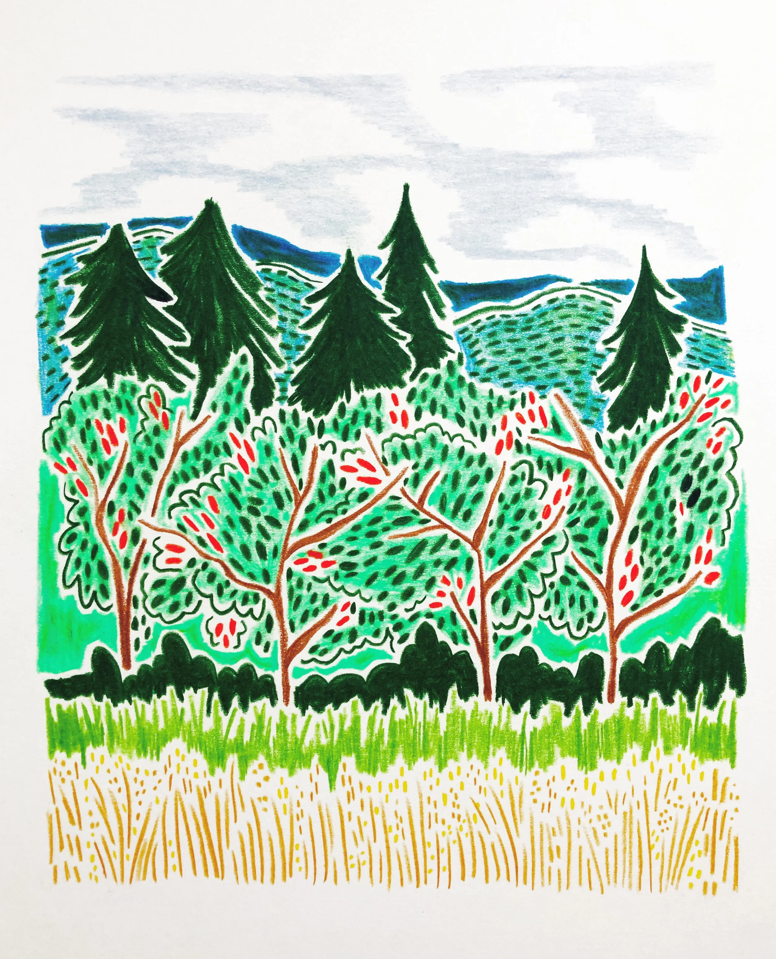 Cut down all the trees, you'll have a better view- says the person from the city