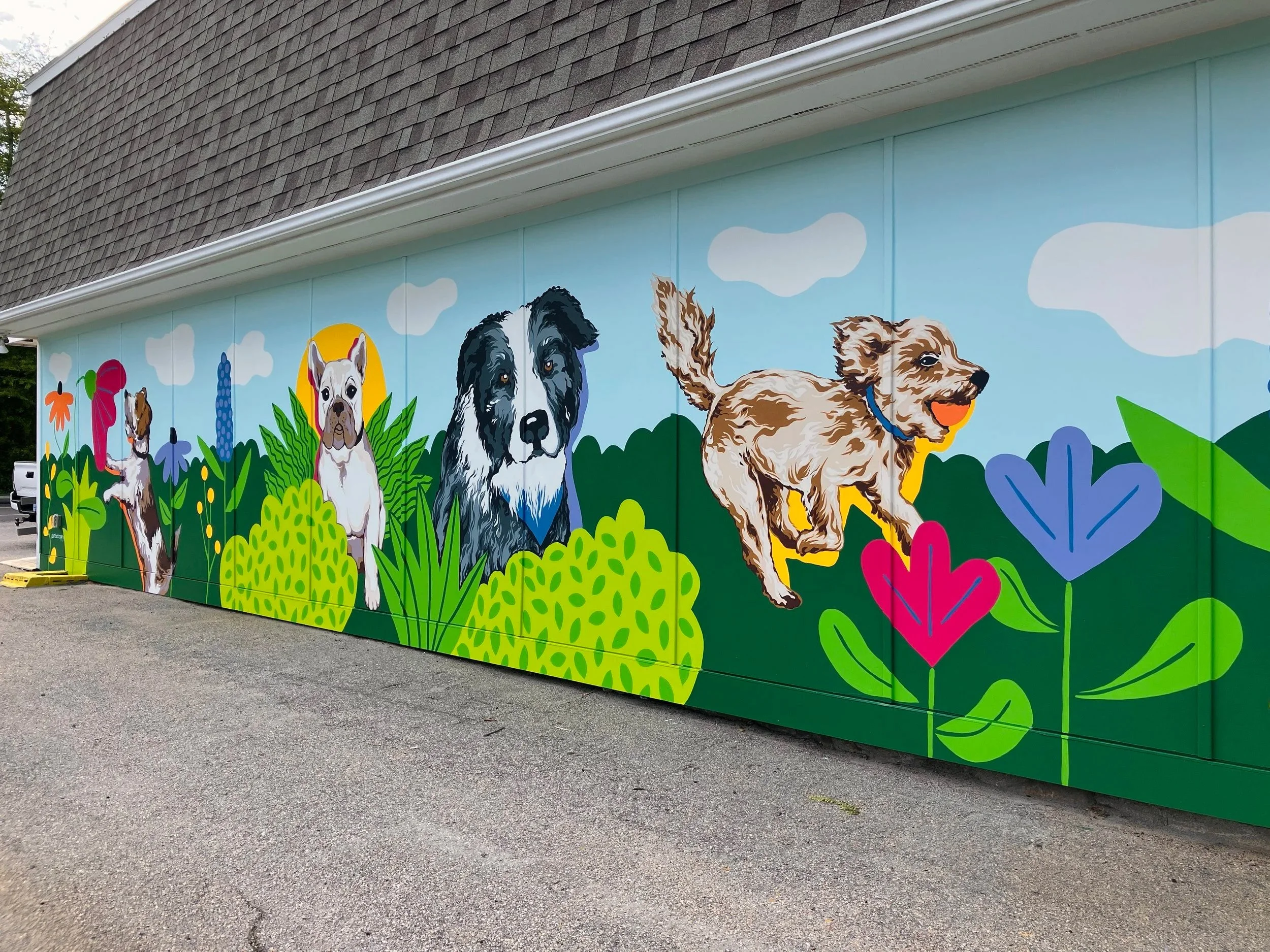 The Gnarly Dog Doggy Daycare, Narragansett, RI