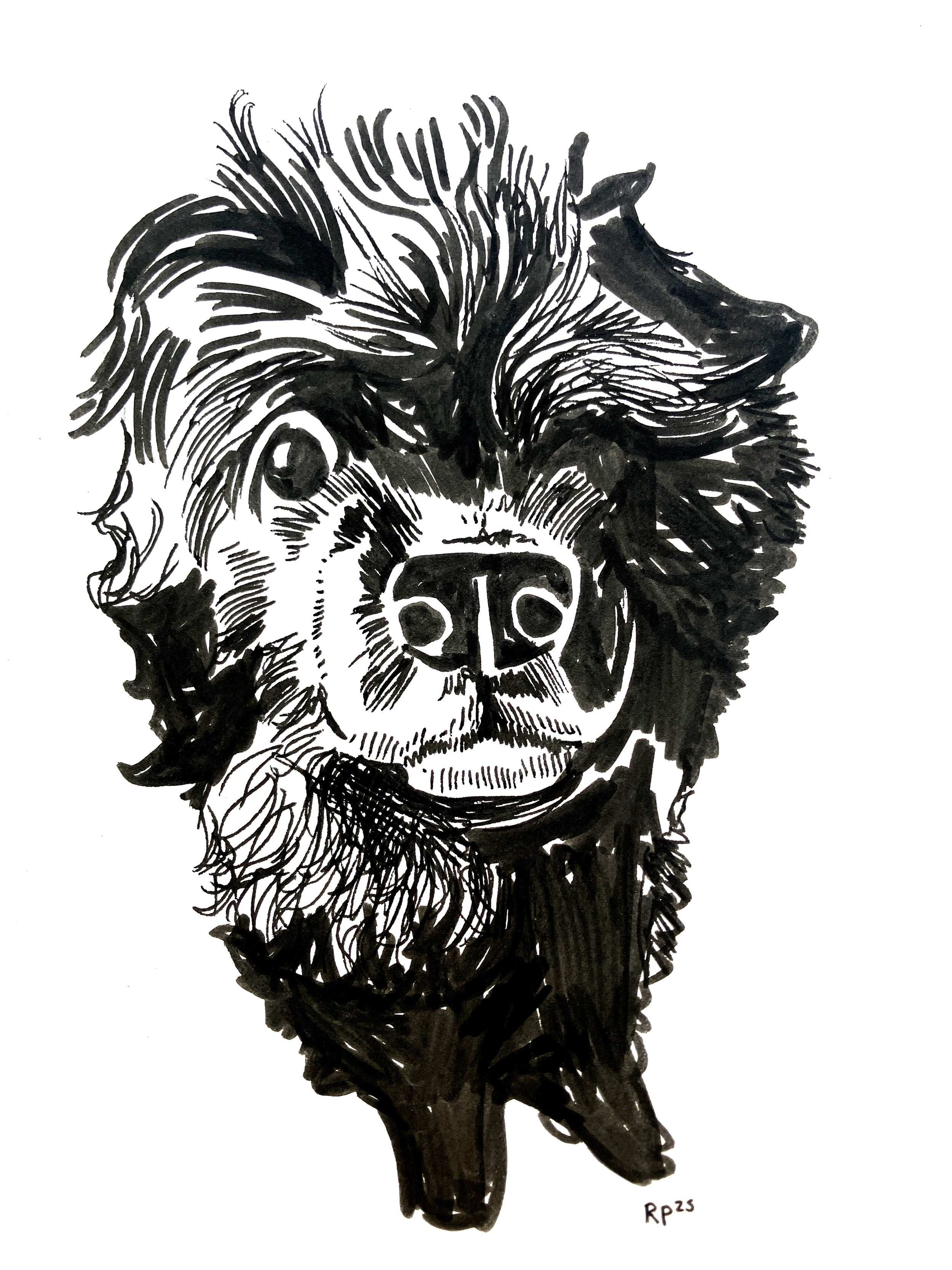 Hand drawn pen and ink pet portrait illustration commission of a dog