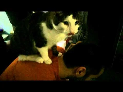 Talon loves Arya (Copy)