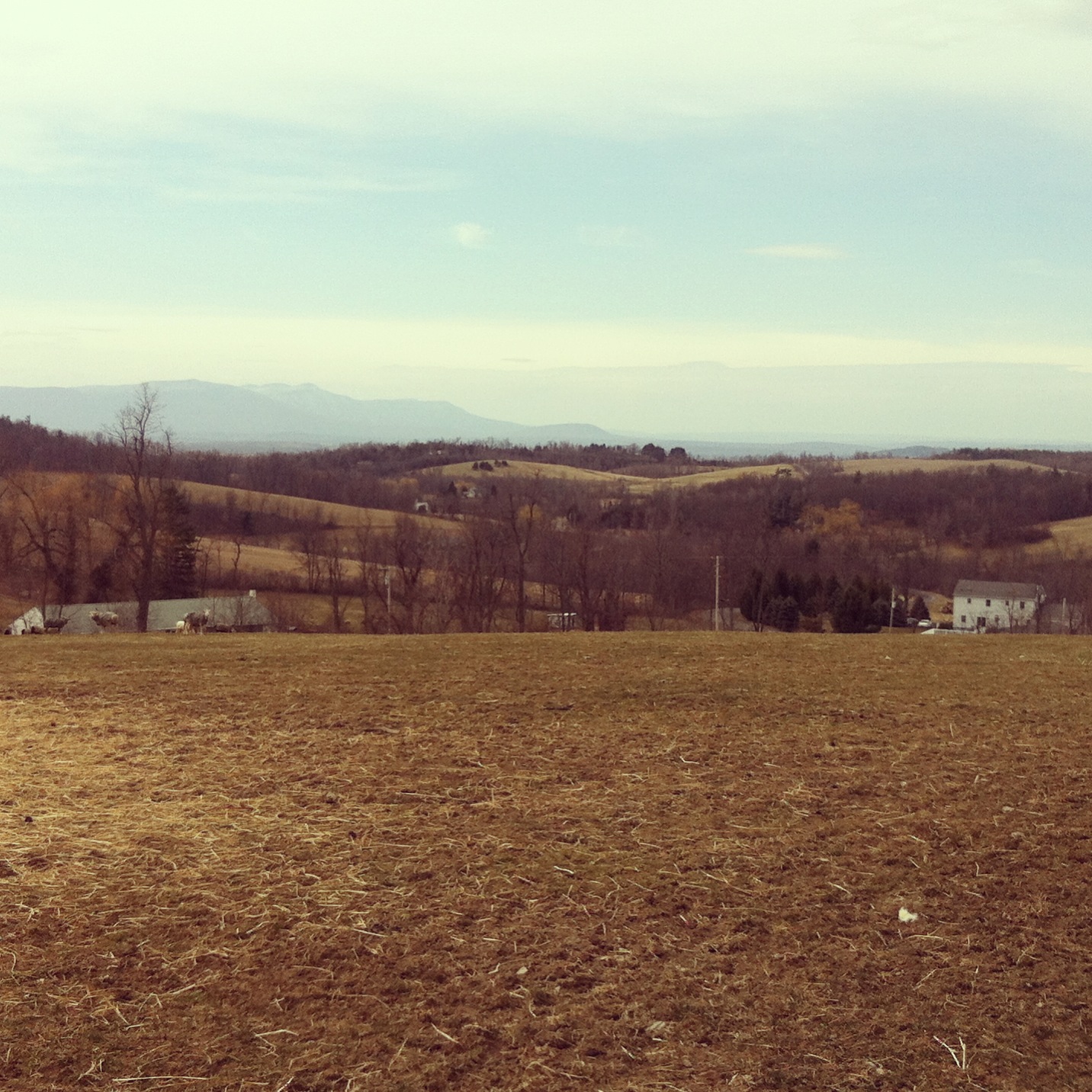 photo 4.JPG
