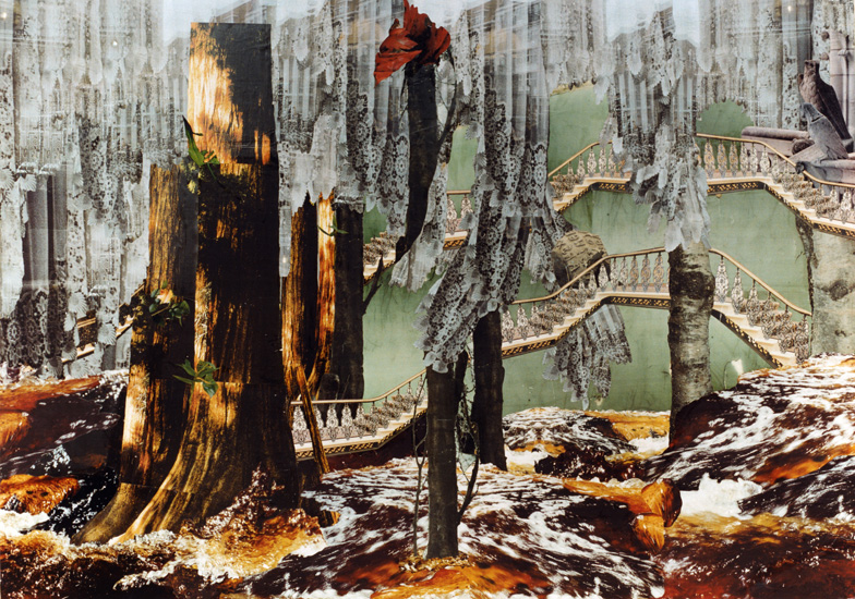 14_on-a-limb_v2.jpg