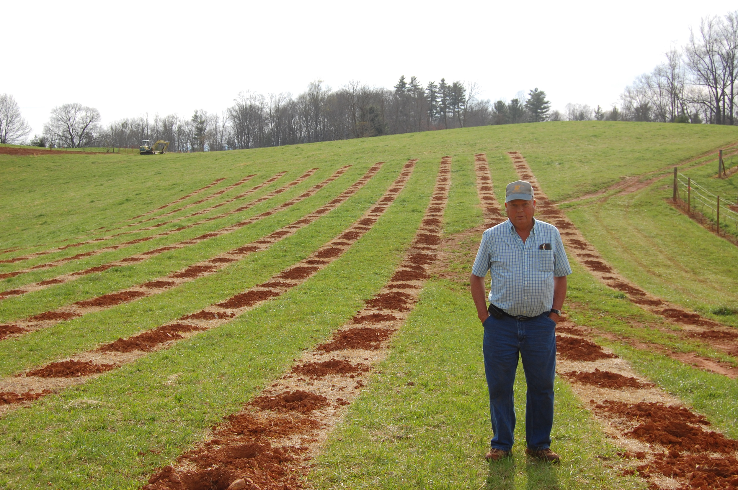 Eddie looking at the new section of the vineyard, pre-planting 2014