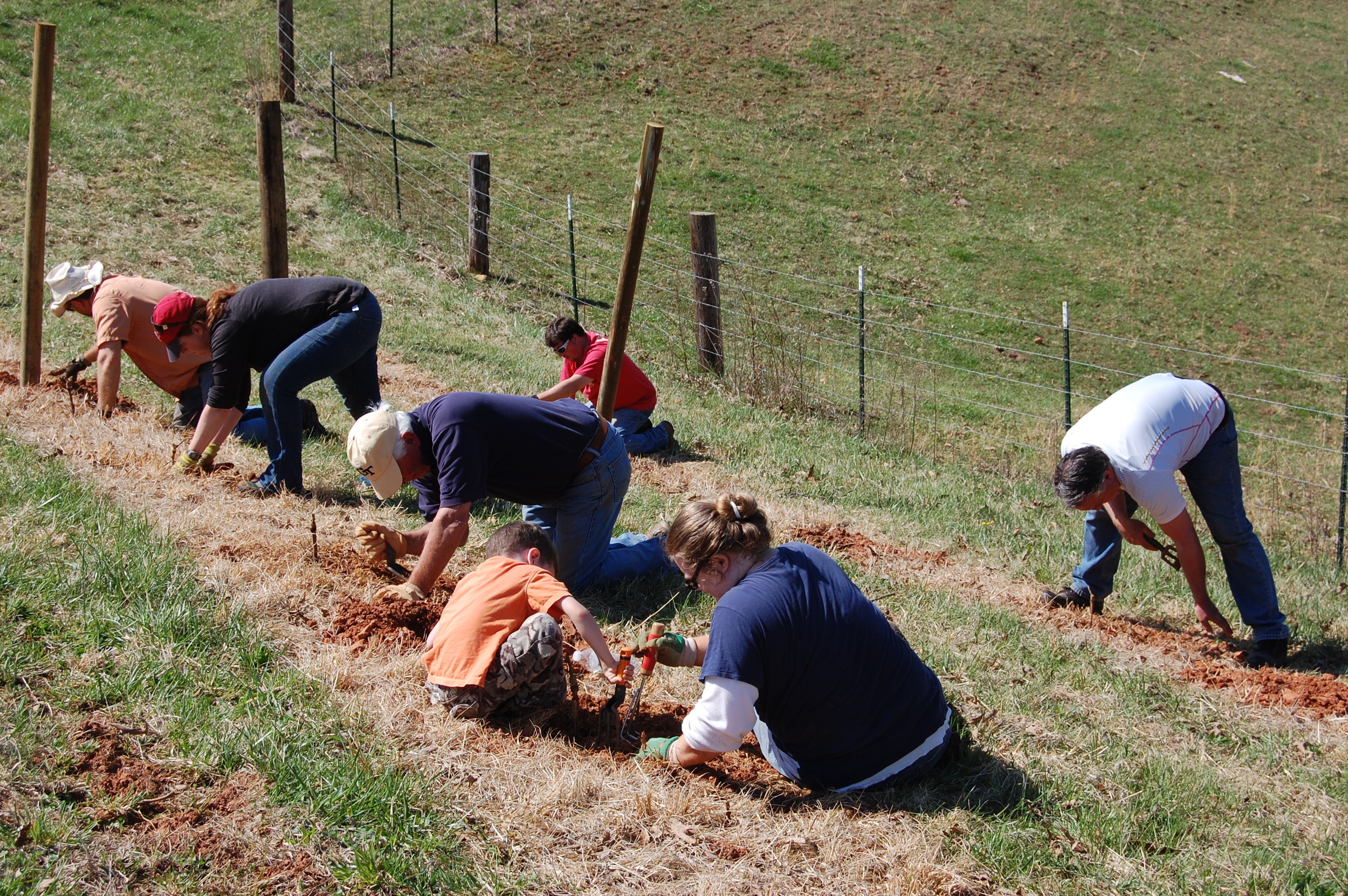 Planting the Petit Verdot, 12 April 2014
