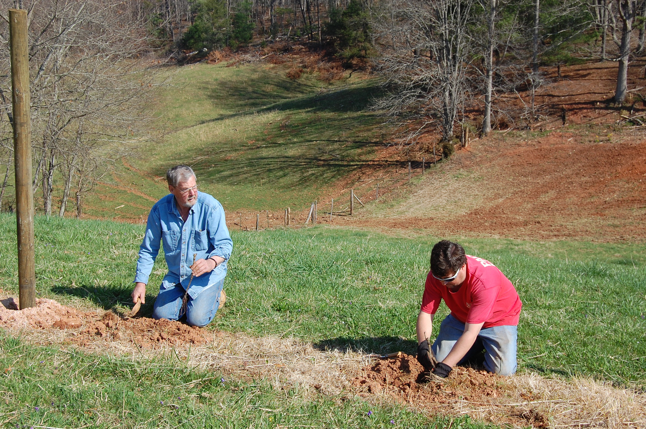 Jerry and Jeff, adding Petite Manseng, 12 April 2014