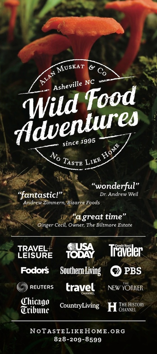 NTLH-brochure-front.jpeg