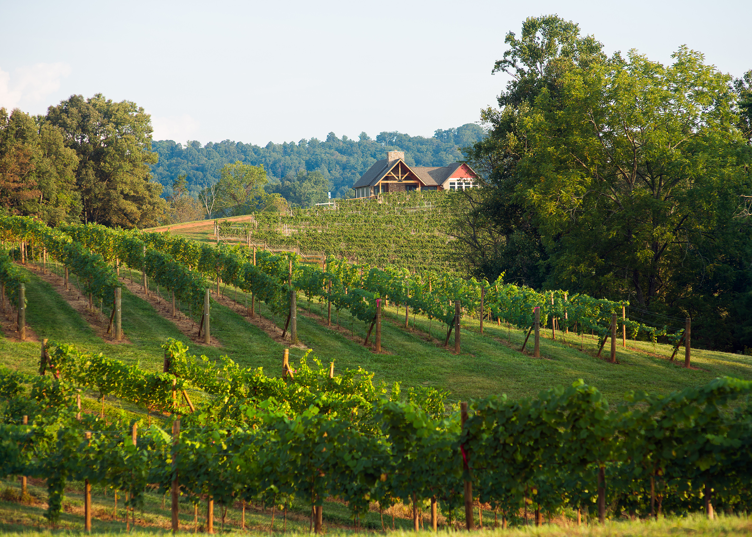 Addison farms 70 web.jpg