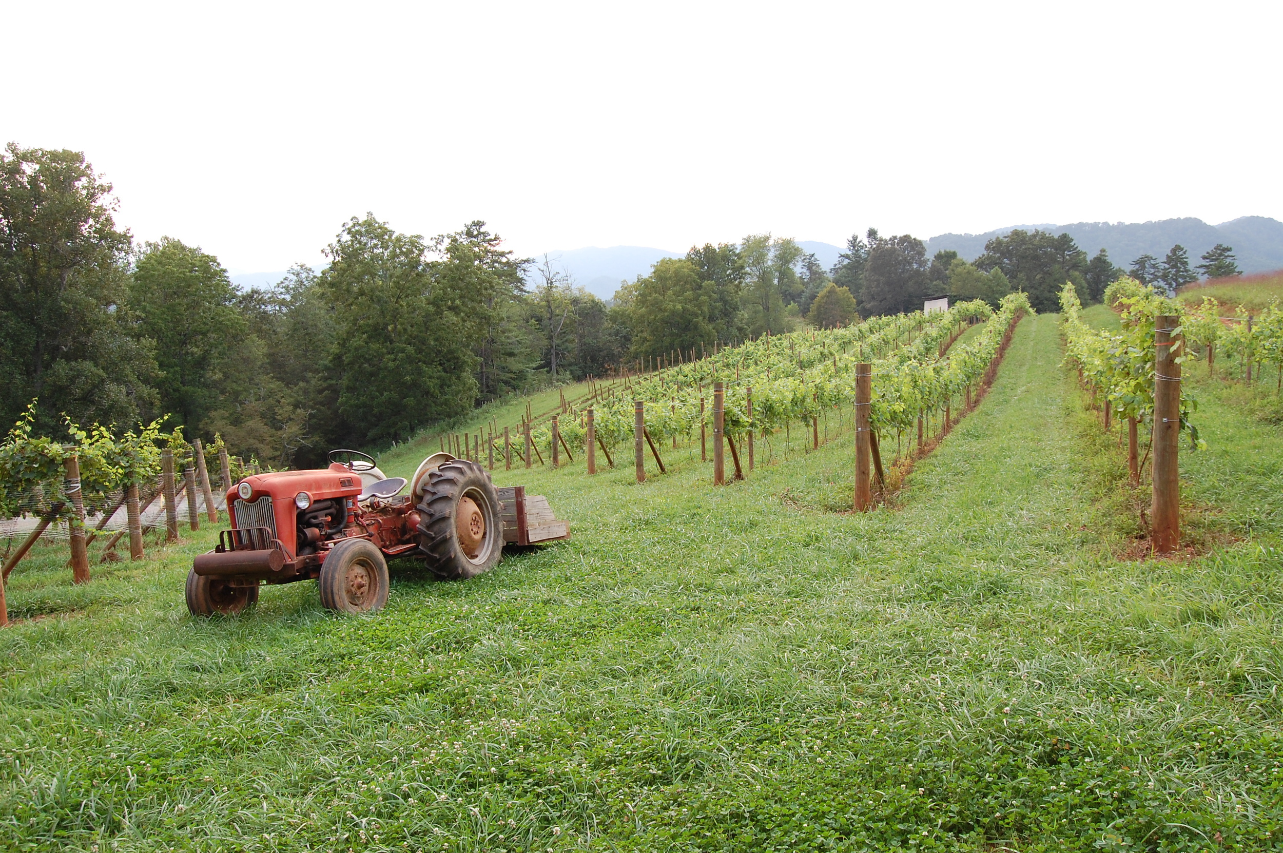 Ford 601 Workmaster.jpg