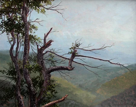 JMKah Pisgah View