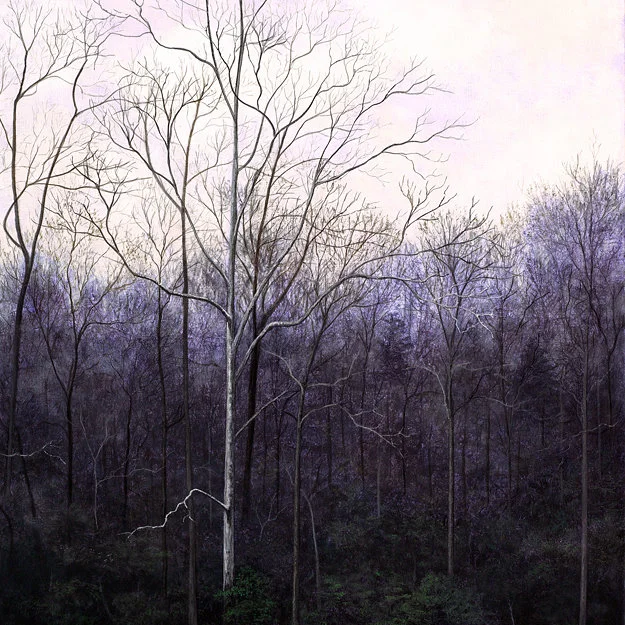 JMKah Sycamore In Spring