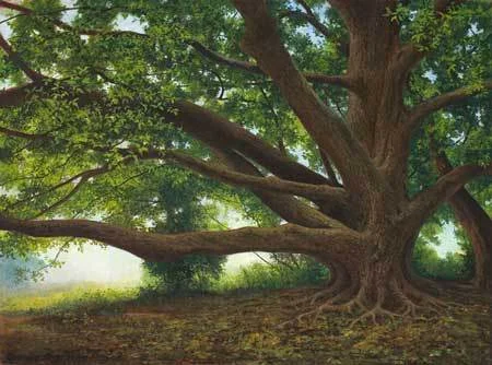 JMKah Grandmother Tree