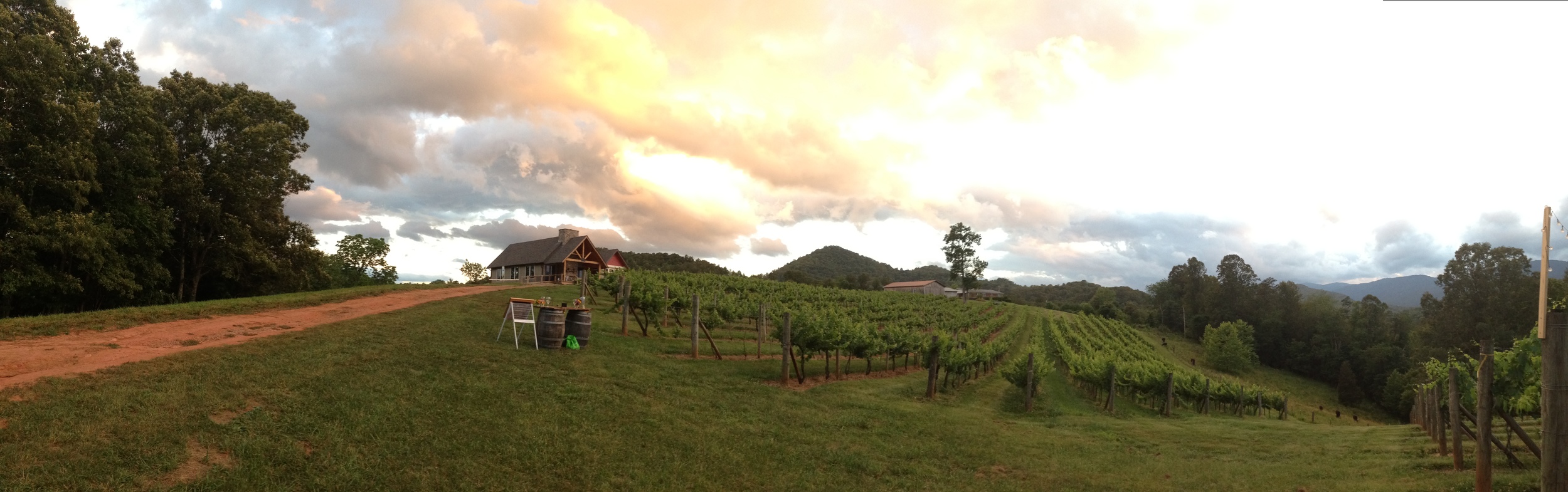 Perfect Pairings at Addison Farms Vineyard, 20 June 2015, photo courtesy Erika Eill