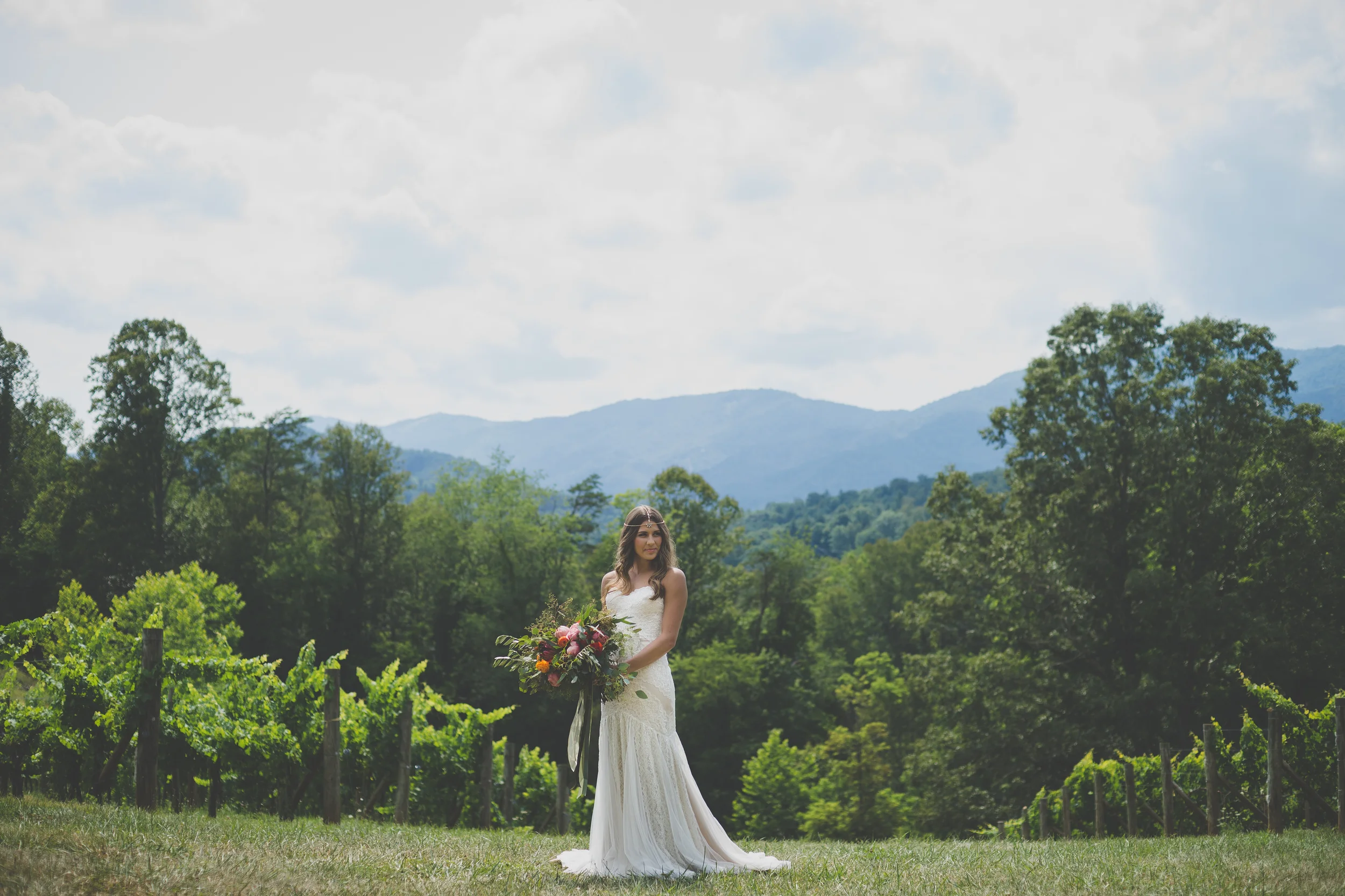 Photo courtesy of Sheila Nolt Photography