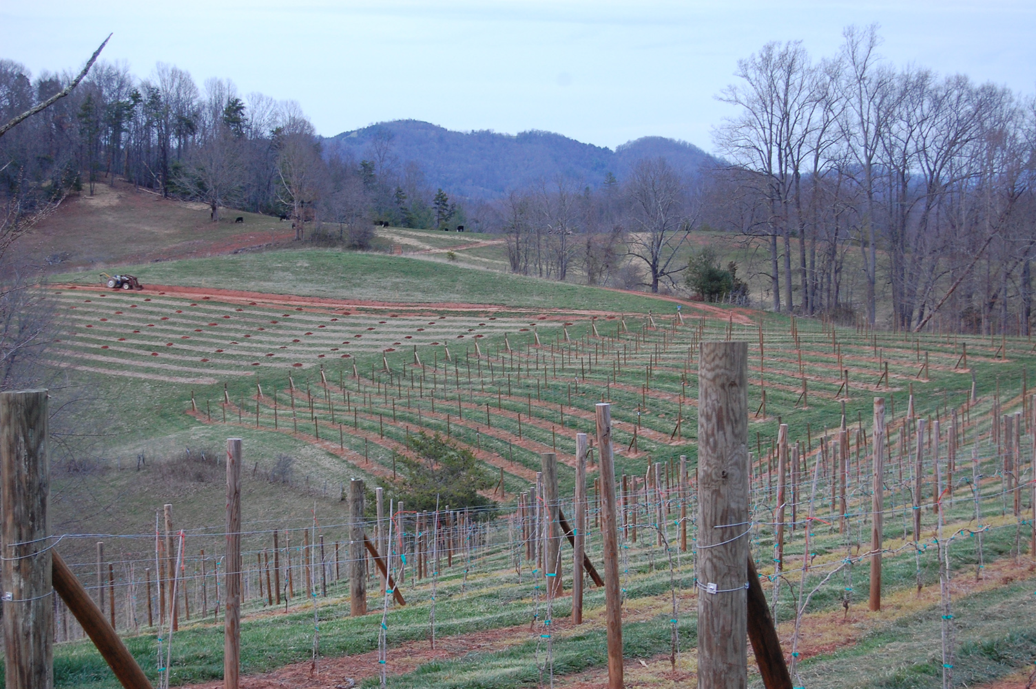Prepping for planting, 2011