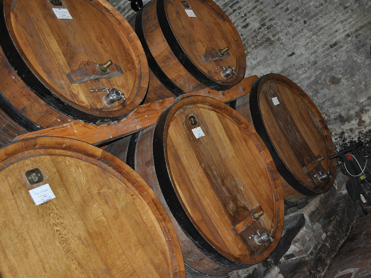 Vino Nobile di Montepluciano, April 2016