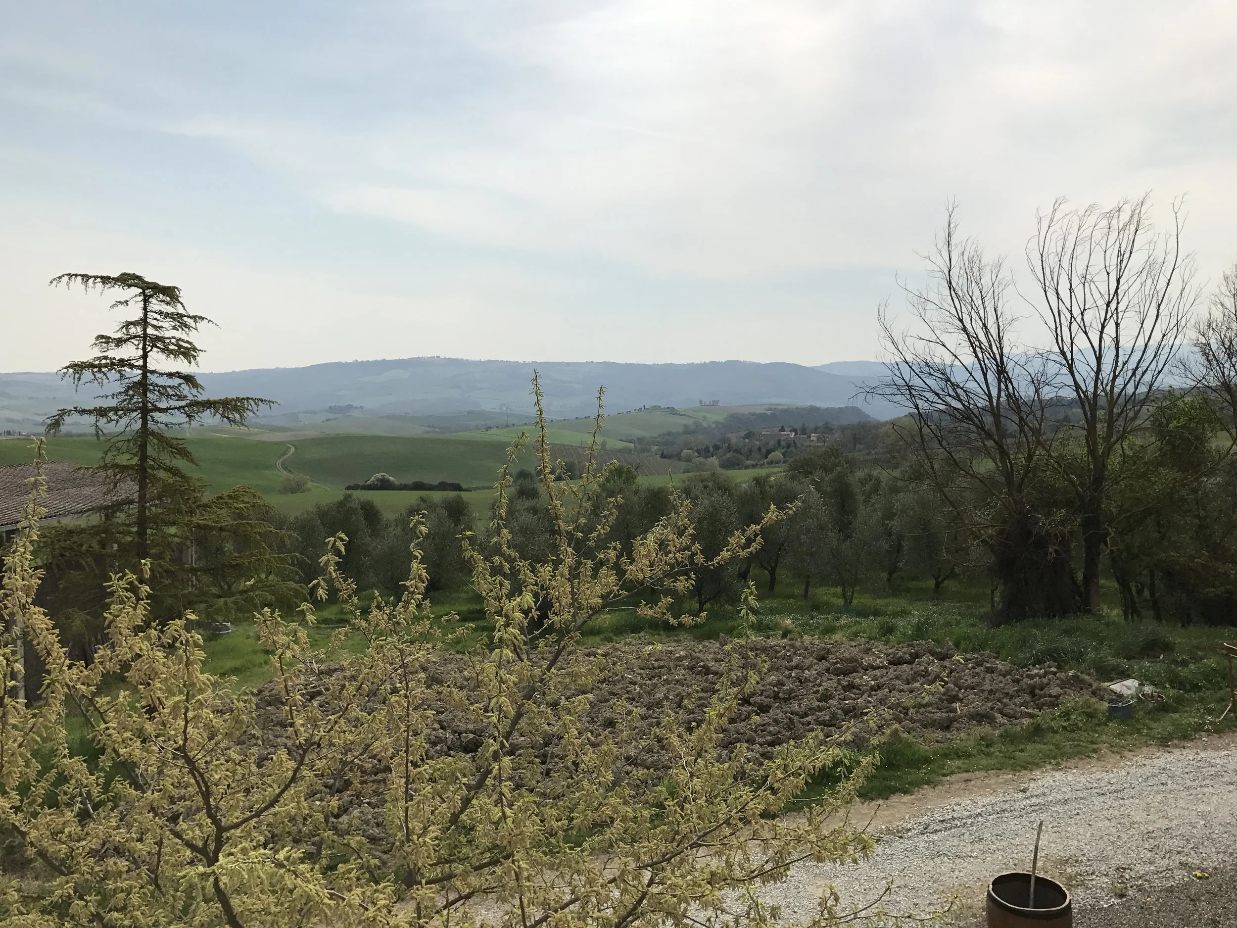 La Resina views