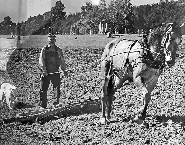 Addison Farmer (1977) plowing