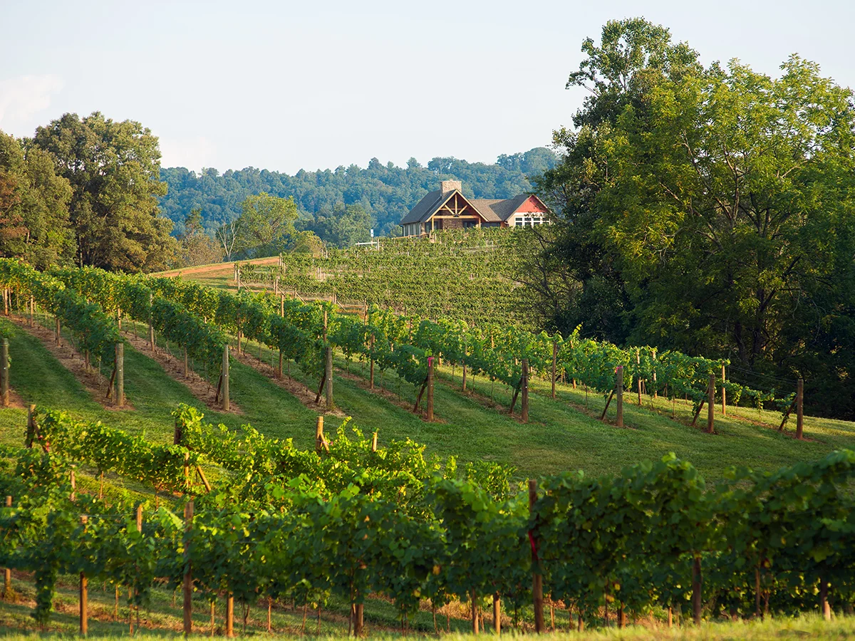 Addison farm-70-Edit high res cc.jpg