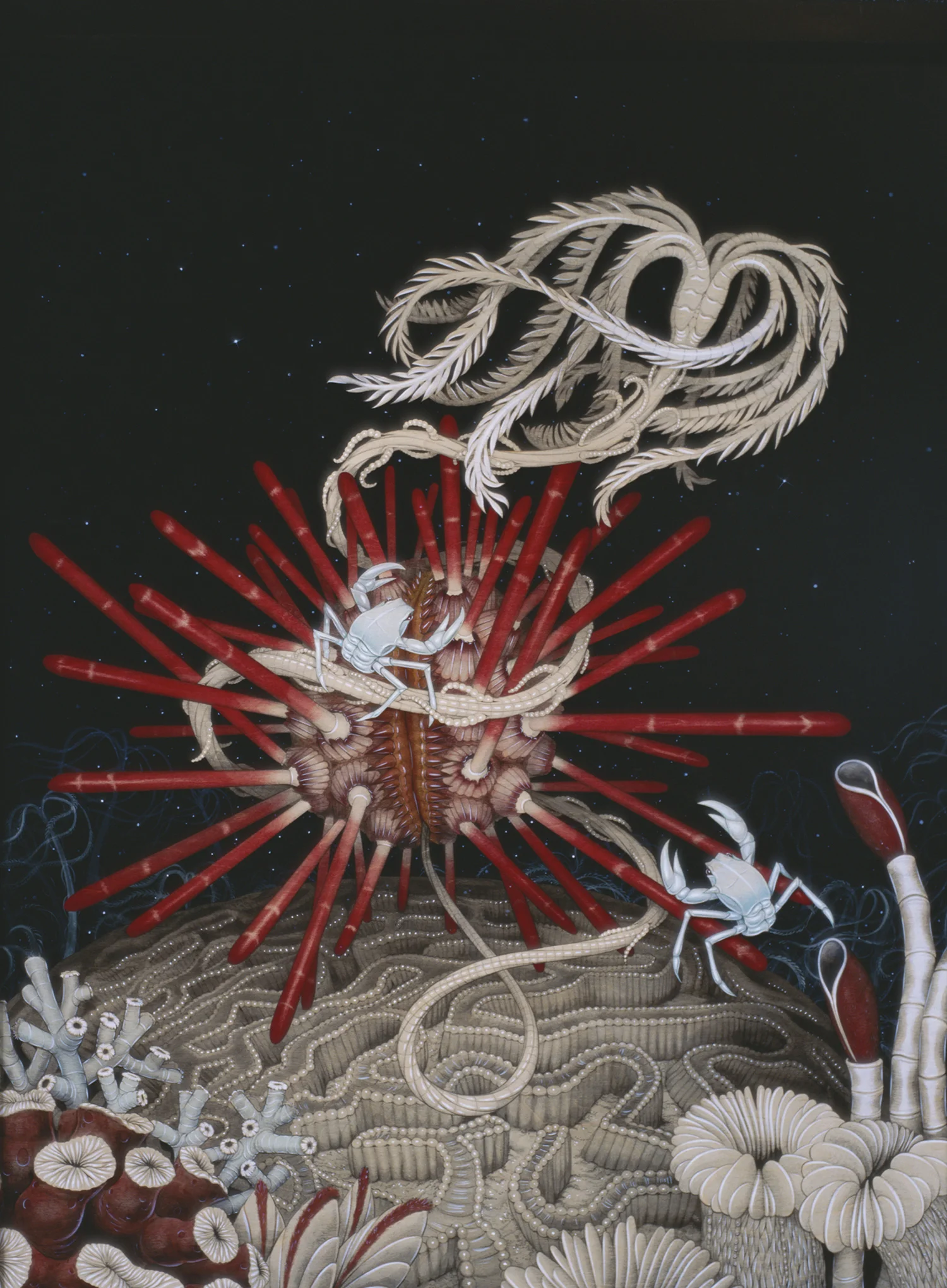Battle of the Deep