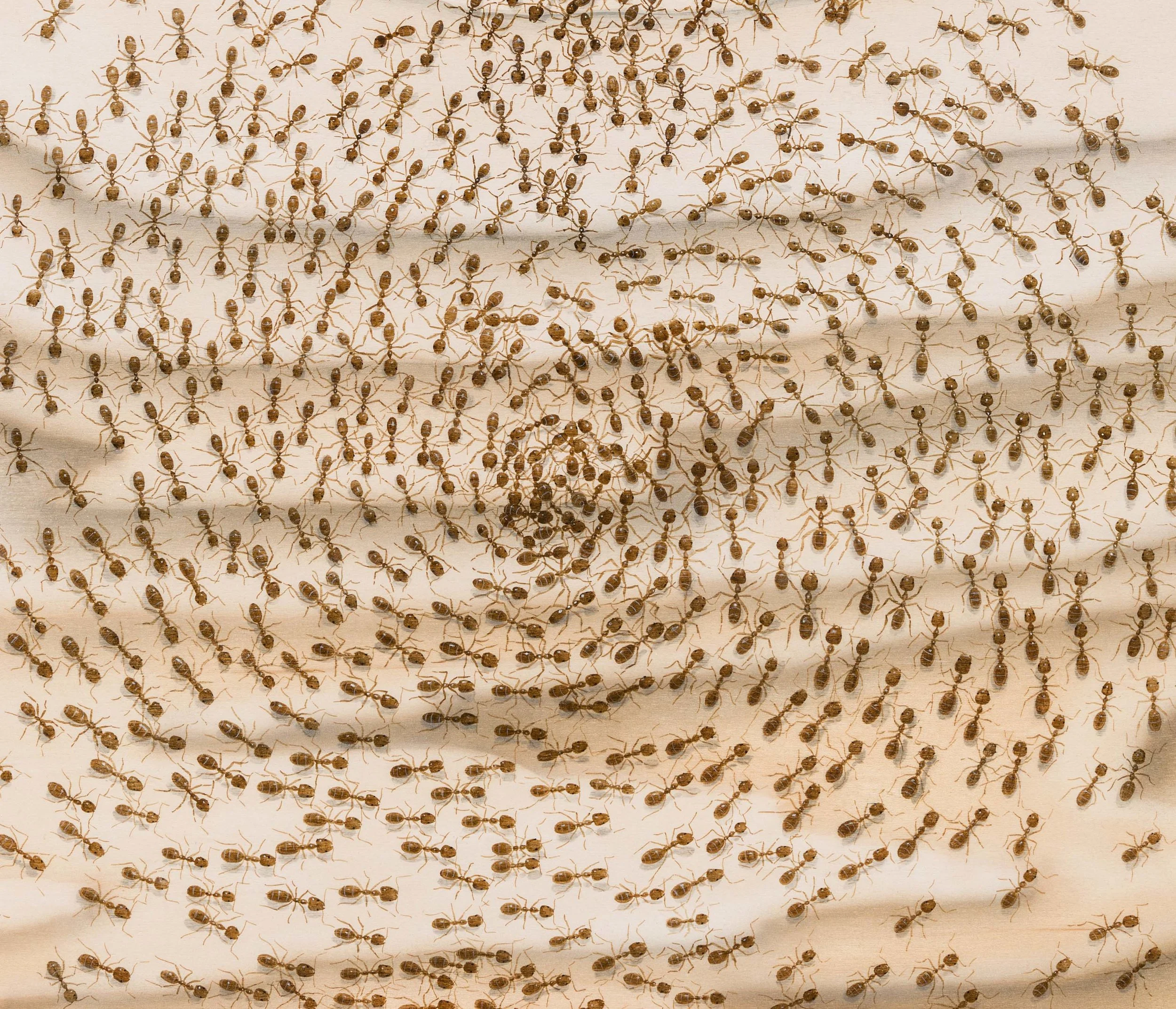 Anxiety Detail