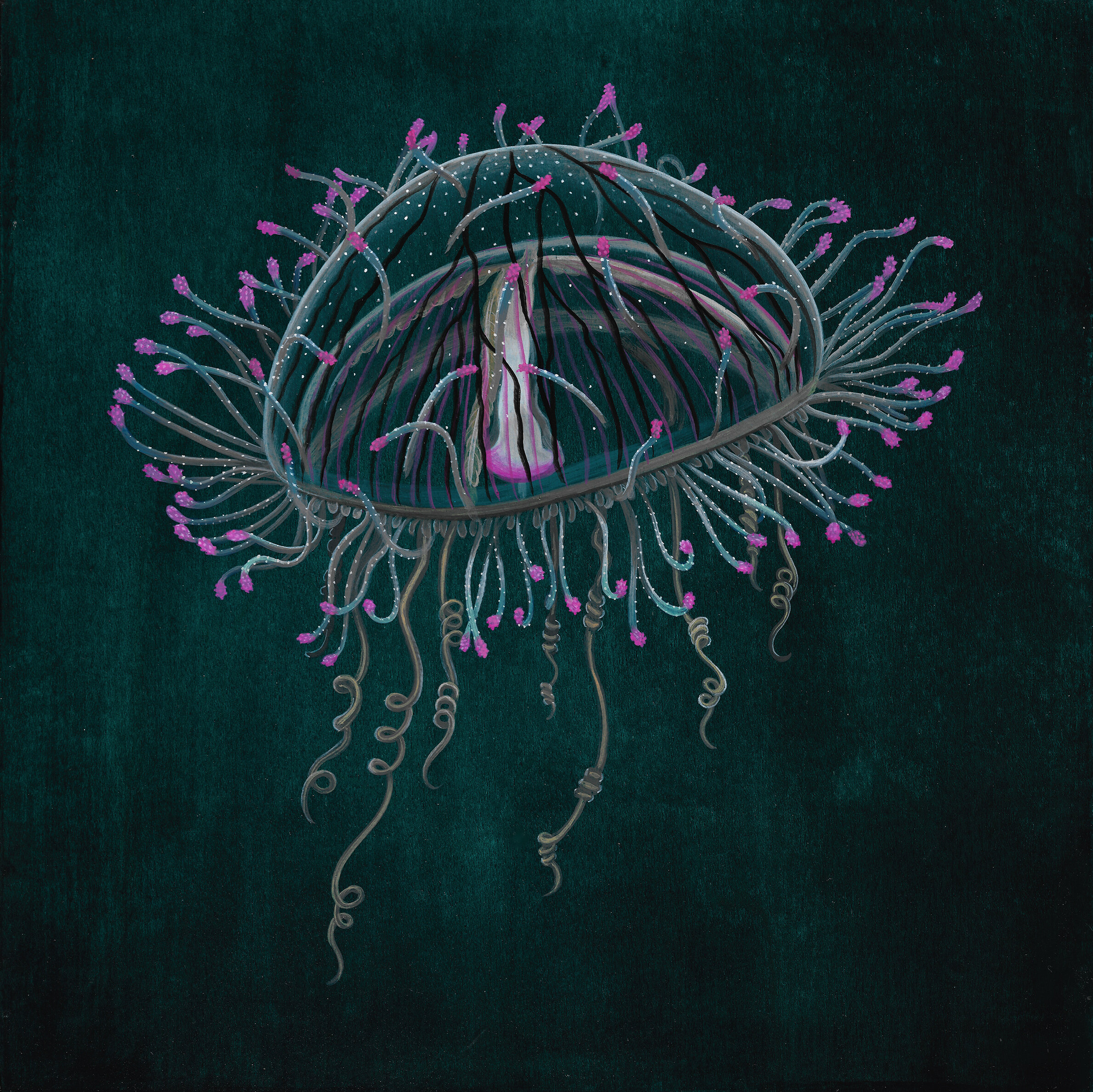 Flower Hat Jellyfish