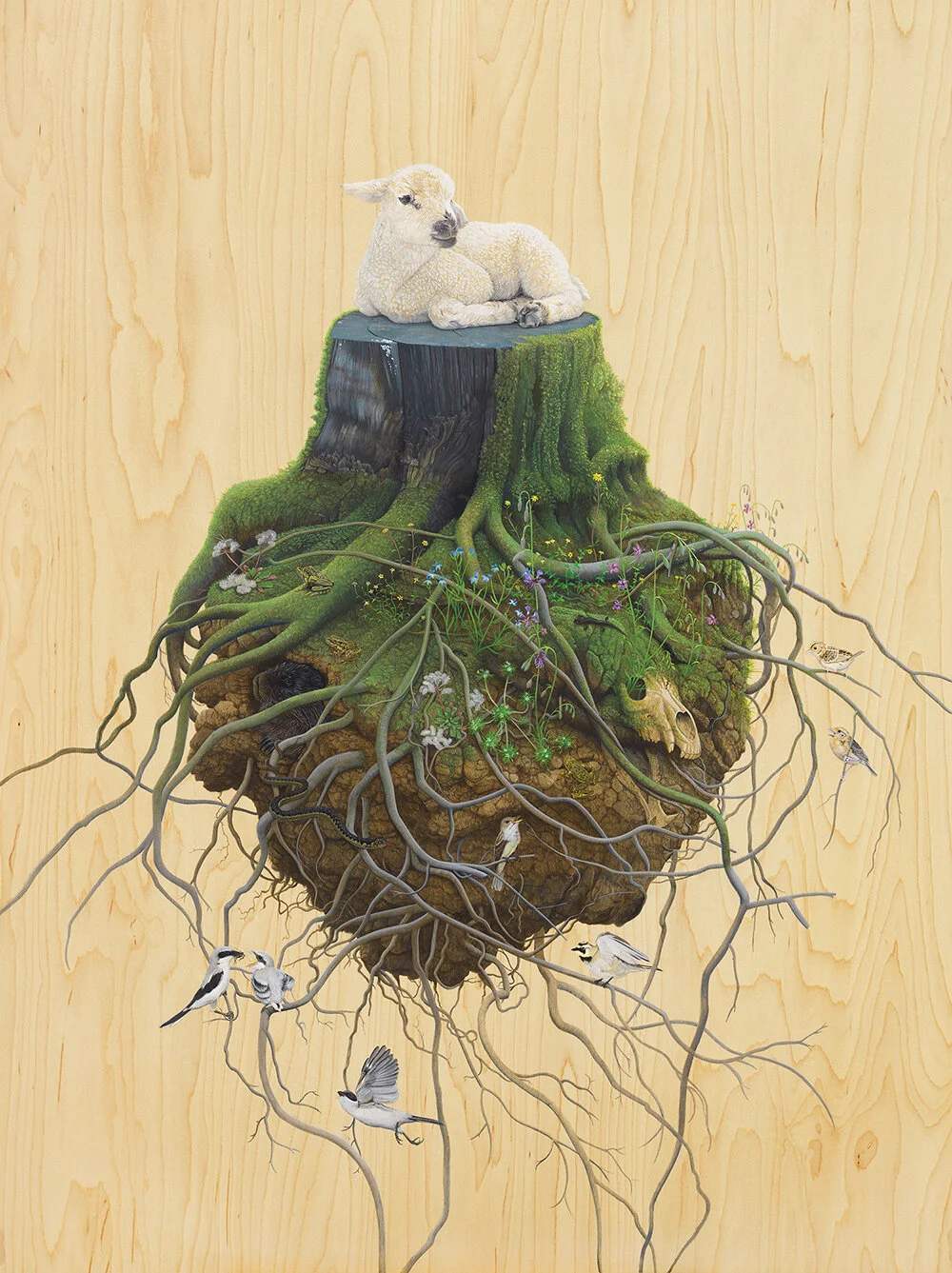 Tiffany bolk photography