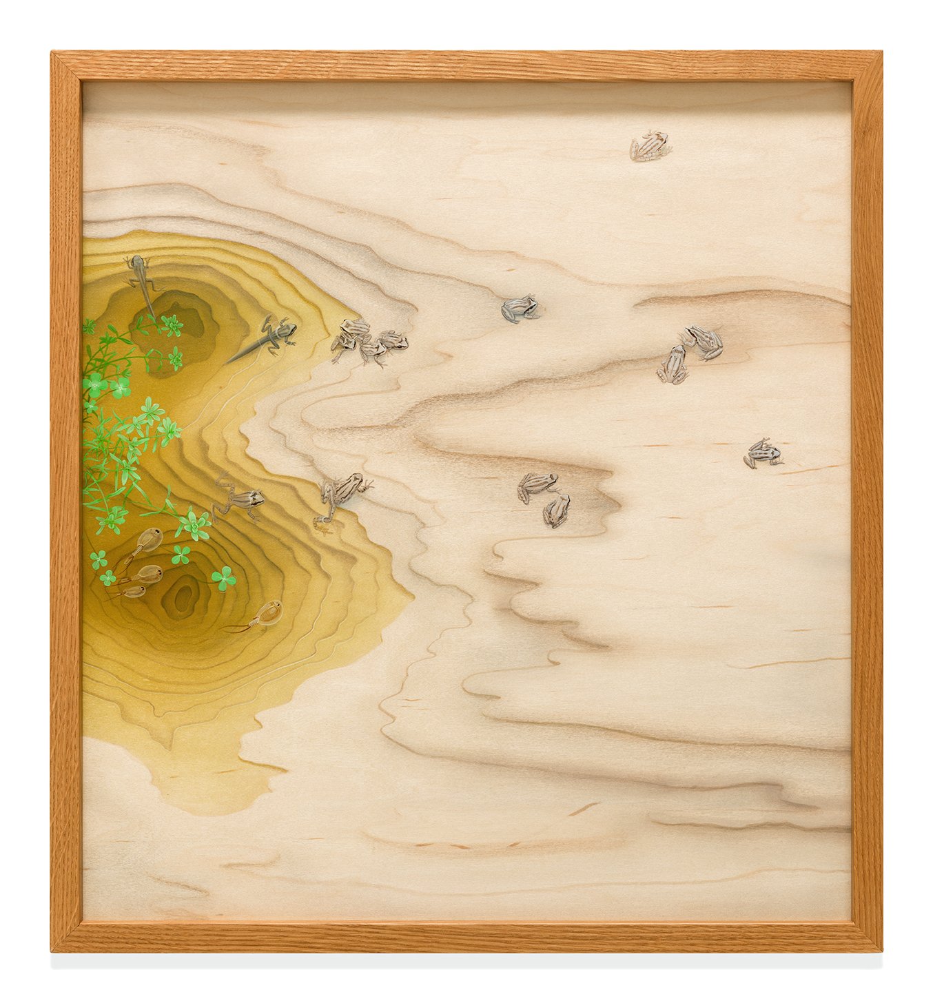  Vernal Pool, 20” x 21 ¾”, acrylic on maple panel, 2017 