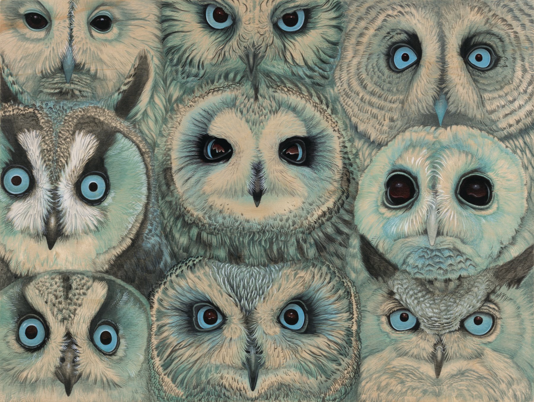 Strigiformes, 12" x 16" acrylic on maple panel, 2013 